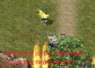 传奇私服开放服中有哪些道具可以恢复生命值与魔法值? 传奇私服开放服中有哪些道具可以恢复生命值与魔法值?