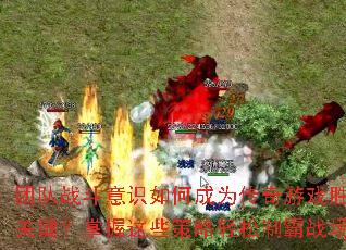 团队战斗意识如何成为传奇游戏胜负关键?掌握这些策略轻松制霸战场 团队战斗意识如何成为传奇游戏胜负关键?掌握这些策略轻松制霸战场