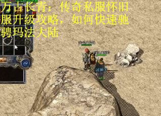 万古长青：传奇私服怀旧服升级攻略，如何快速驰骋玛法大陆