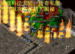 征战玛法大陆：传奇私服与官服攻略秘籍大揭秘