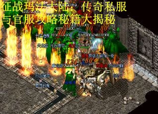 征战玛法大陆：传奇私服与官服攻略秘籍大揭秘