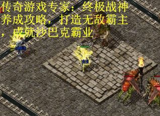 传奇游戏专家：终极战神养成攻略，打造无敌霸主，成就沙巴克霸业