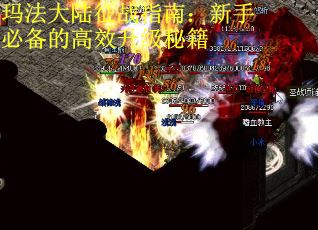 玛法大陆征战指南：新手必备的高效升级秘籍
