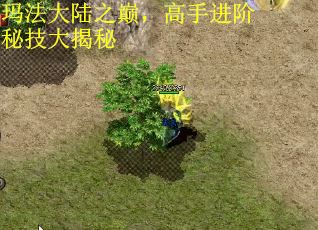 玛法大陆之巅，高手进阶秘技大揭秘