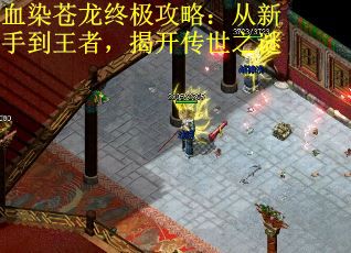 血染苍龙终极攻略：从新手到王者，揭开传世之谜