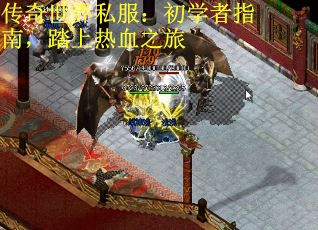 传奇世界私服：初学者指南，踏上热血之旅