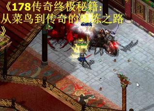 《178传奇终极秘籍：从菜鸟到传奇的修炼之路》