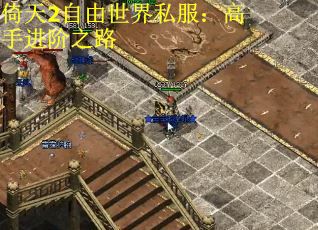 倚天2自由世界私服：高手进阶之路