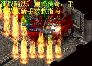 征战玛法，巅峰传奇：手机私服新手求救指南