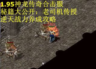 1.95神龙传奇合击服秘籍大公开：老司机传授逆天战力养成攻略