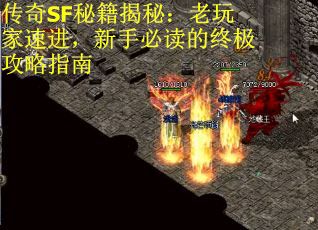 传奇SF秘籍揭秘：老玩家速进，新手必读的终极攻略指南
