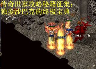 传奇世家攻略秘籍征集：独步沙巴克的终极宝典
