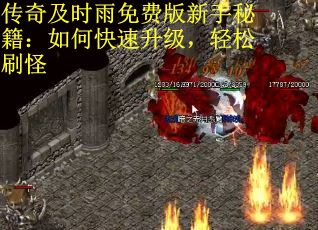 传奇及时雨免费版新手秘籍：如何快速升级，轻松刷怪