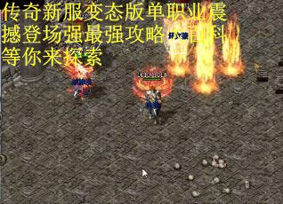 传奇新服变态版单职业震撼登场强最强攻略大百科等你来探索
