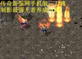 传奇新服网手机版：刀魂刺影最强王者养成攻略