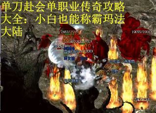单刀赴会单职业传奇攻略大全：小白也能称霸玛法大陆