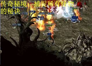 传奇秘境：捕捉稀有怪物的秘诀