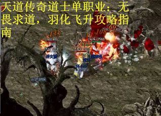 天道传奇道士单职业：无畏求道，羽化飞升攻略指南