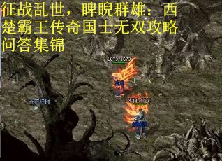 征战乱世，睥睨群雄：西楚霸王传奇国士无双攻略问答集锦