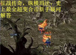 征战传奇，纵横玛法：史上最全超变合击新手疑问解答