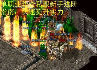 单职业传奇私服新手进阶指南：快速提升实力