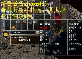 新手必备zhaosf传奇私服新手指南：四大职业详细攻略