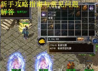 新手攻略指南与常见问题解答