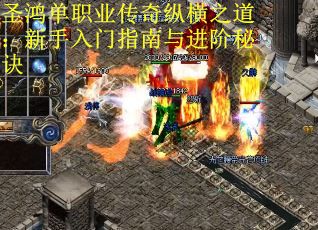 圣鸿单职业传奇纵横之道：新手入门指南与进阶秘诀
