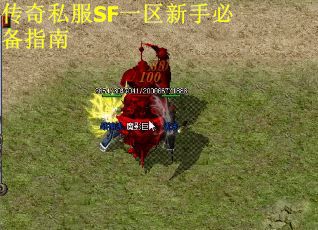 传奇私服SF一区新手必备指南