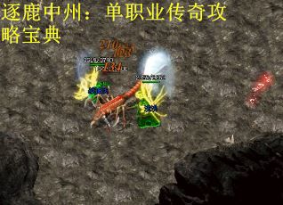 逐鹿中州：单职业传奇攻略宝典