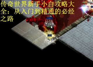 传奇世界新手小白攻略大全：从入门到精通的必经之路