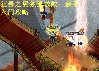 狂暴之翼独孤求败：新手入门攻略