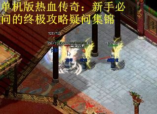 单机版热血传奇：新手必问的终极攻略疑问集锦