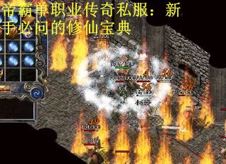 帝霸单职业传奇私服：新手必问的修仙宝典
