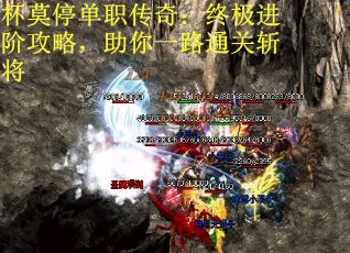 杯莫停单职传奇：终极进阶攻略，助你一路通关斩将