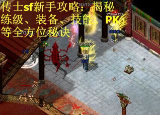 传士sf新手攻略：揭秘练级、装备、技能、PK等全方位秘诀