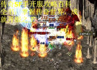 传奇SF手开服攻略百科全书：掌握传奇世界，成就开服之王
