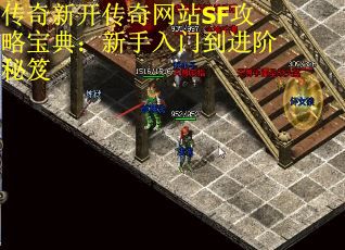 传奇新开传奇网站SF攻略宝典：新手入门到进阶秘笈