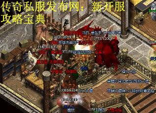 传奇私服发布网：新开服攻略宝典