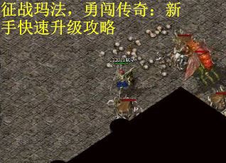 征战玛法，勇闯传奇：新手快速升级攻略