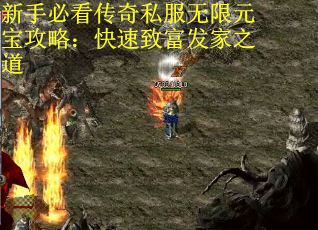 新手必看传奇私服无限元宝攻略：快速致富发家之道