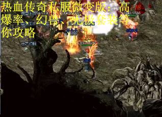 热血传奇私服微变版：高爆率、幻兽、无极套装等你攻略