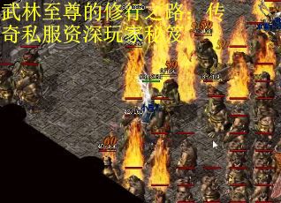 武林至尊的修行之路：传奇私服资深玩家秘笈