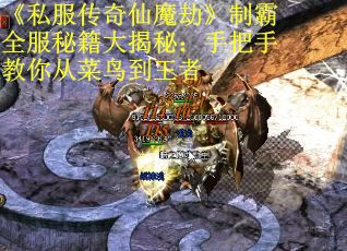 《私服传奇仙魔劫》制霸全服秘籍大揭秘：手把手教你从菜鸟到王者