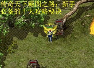 传奇天下霸图之路：新手必备的十大攻略秘诀