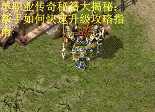 单职业传奇秘籍大揭秘：新手如何快速升级攻略指南