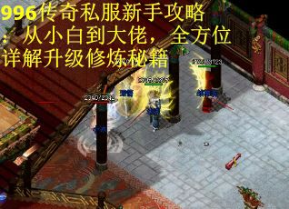 996传奇私服新手攻略：从小白到大佬，全方位详解升级修炼秘籍