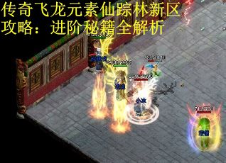 传奇飞龙元素仙踪林新区攻略：进阶秘籍全解析
