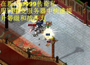 在新开sf999传奇私服网中变服务器中快速提升等级和战斗力