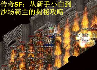 传奇SF：从新手小白到沙场霸主的揭秘攻略